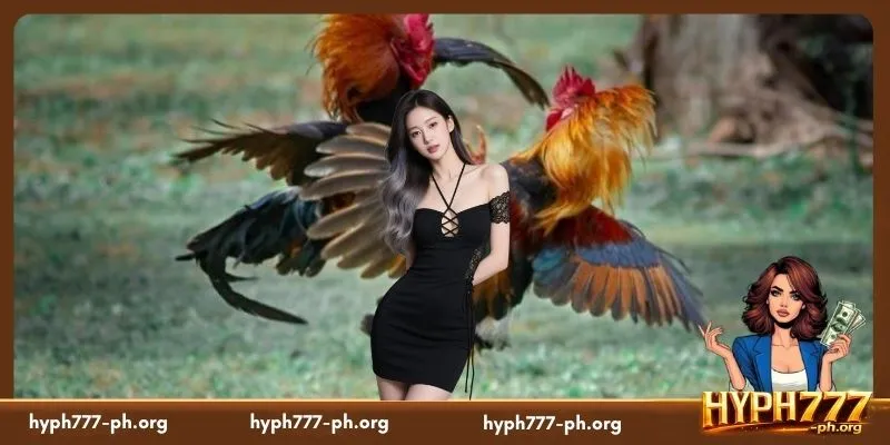 Teknikal Na Pagsusuri Sa Mga Manok At Kalsada